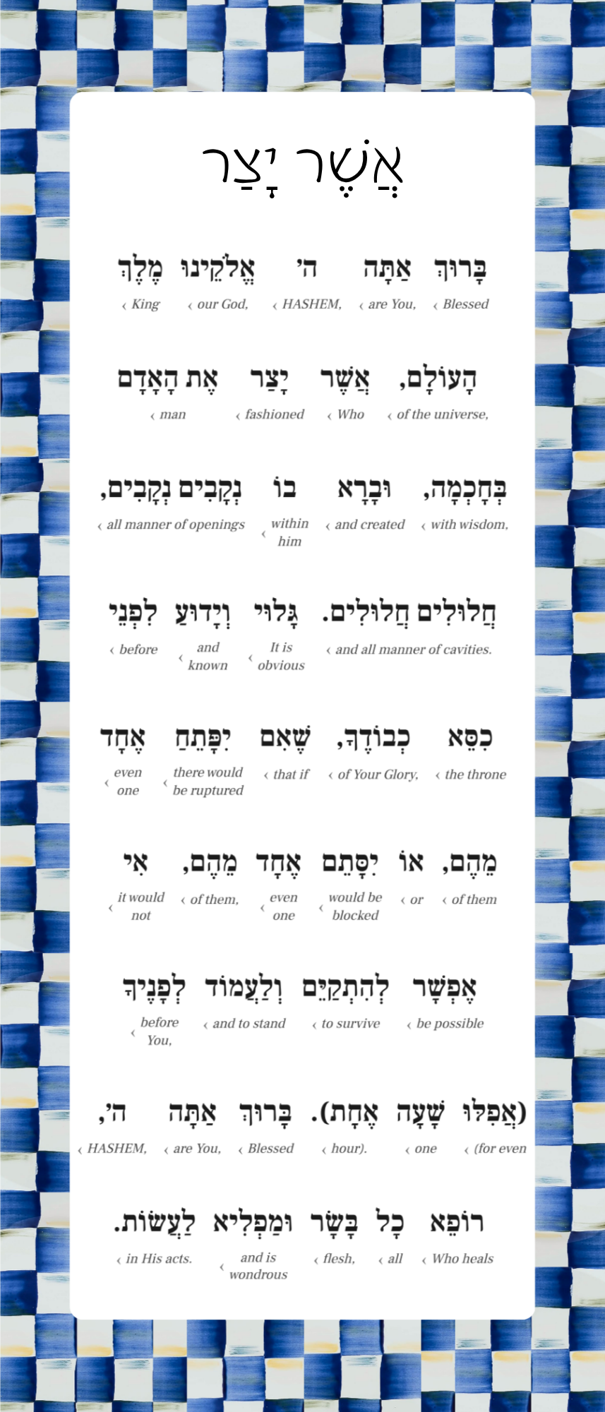 Royal Check Asher yatzar