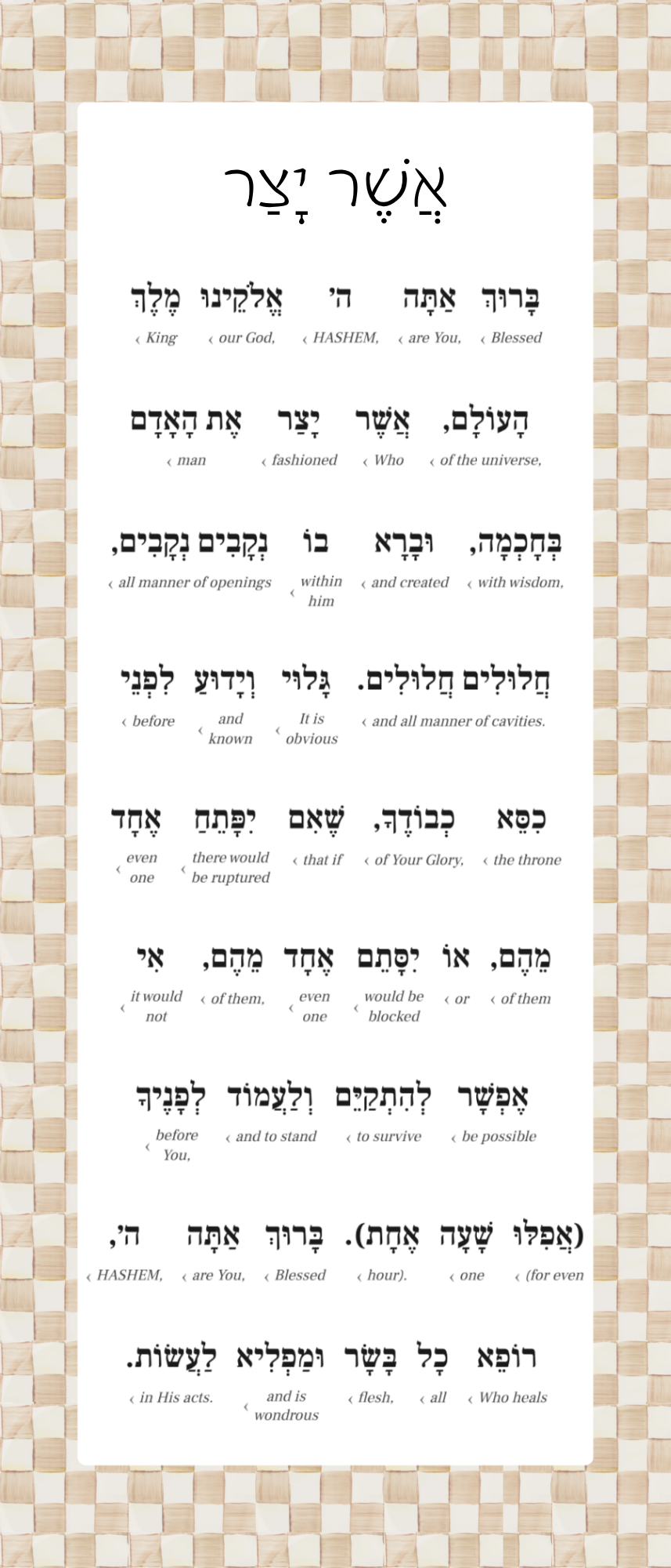 Mocha Check Asher yatzar